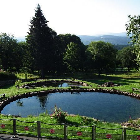 Hotel Alpska Vyhlidka Kvilda Εξωτερικό φωτογραφία